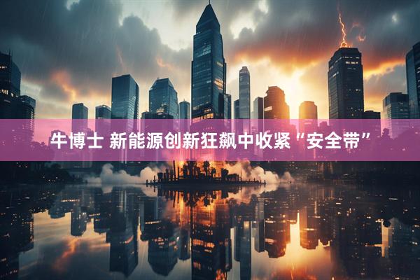 牛博士 新能源创新狂飙中收紧“安全带”