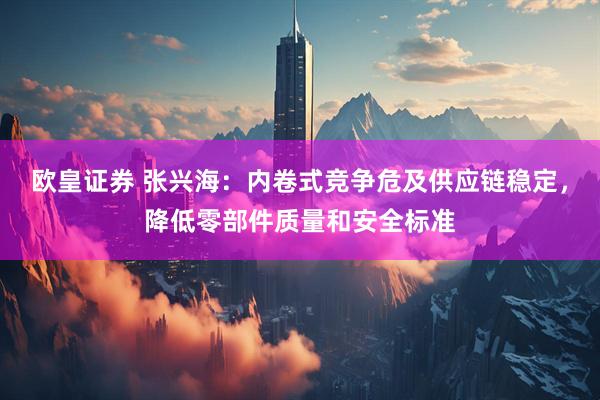 欧皇证券 张兴海：内卷式竞争危及供应链稳定，降低零部件质量和安全标准
