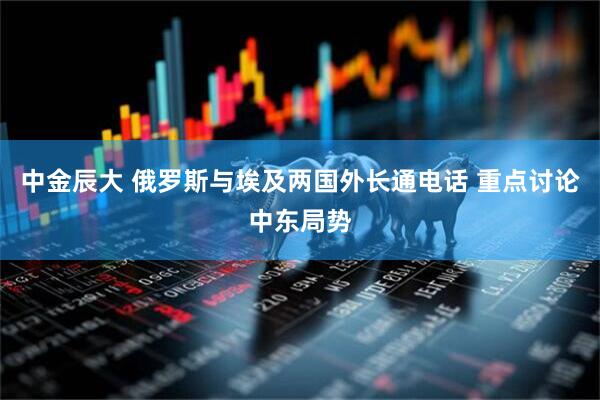 中金辰大 俄罗斯与埃及两国外长通电话 重点讨论中东局势