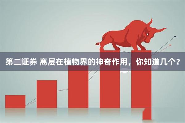 第二证券 离层在植物界的神奇作用，你知道几个？