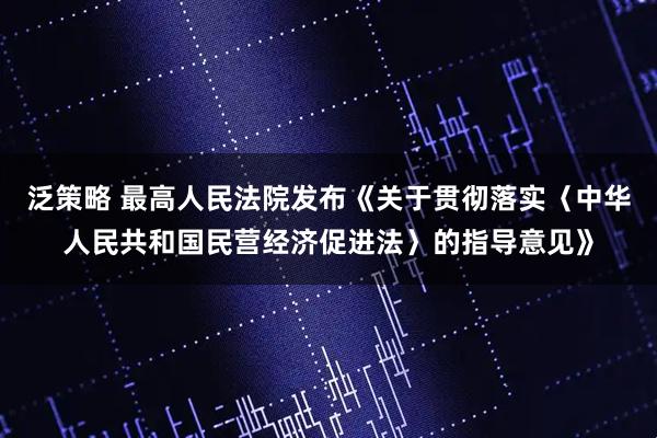 泛策略 最高人民法院发布《关于贯彻落实〈中华人民共和国民营经济促进法〉的指导意见》