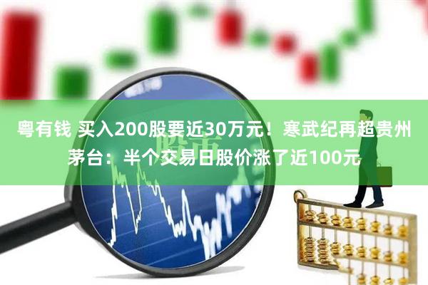 粤有钱 买入200股要近30万元！寒武纪再超贵州茅台：半个交易日股价涨了近100元