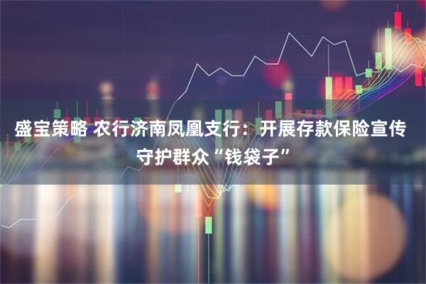 盛宝策略 农行济南凤凰支行：开展存款保险宣传 守护群众“钱袋子”