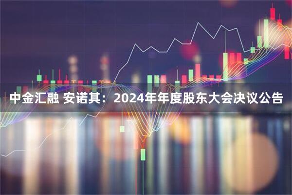 中金汇融 安诺其：2024年年度股东大会决议公告