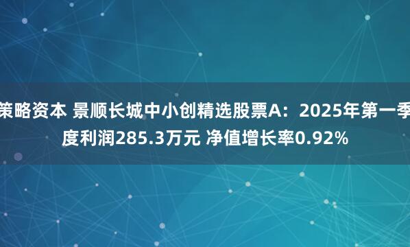 策略资本 景顺长城中小创精选股票A：2025年第一季度利润285.3万元 净值增长率0.92%