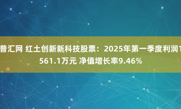 普汇网 红土创新新科技股票：2025年第一季度利润1561.1万元 净值增长率9.46%