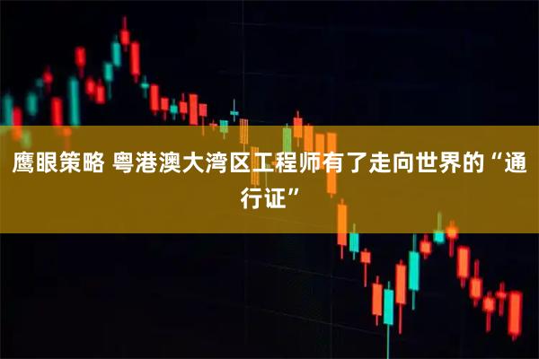 鹰眼策略 粤港澳大湾区工程师有了走向世界的“通行证”