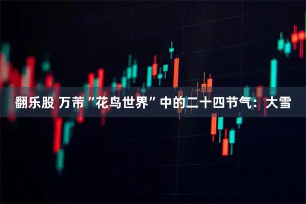 翻乐股 万芾“花鸟世界”中的二十四节气：大雪