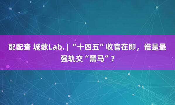配配查 城数Lab. | “十四五”收官在即，谁是最强轨交“黑马”？